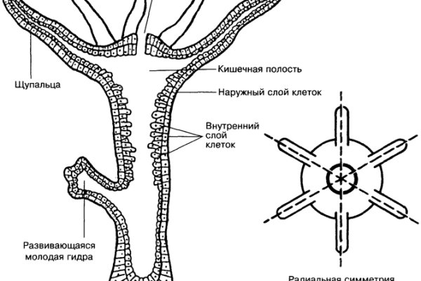 Как зарегаться в кракен