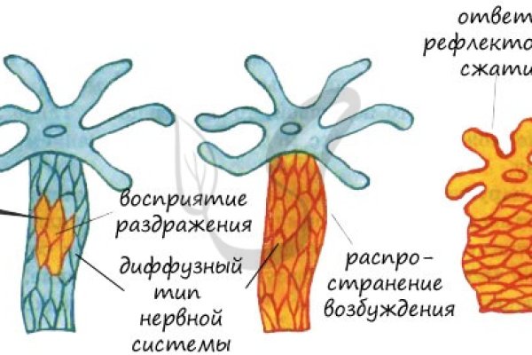 Kraken darknet ссылка